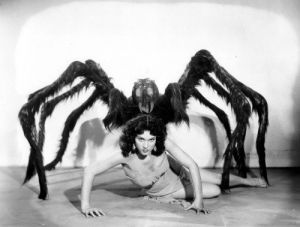 spidervi.jpg