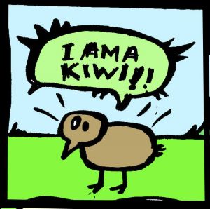 kiwi.jpg